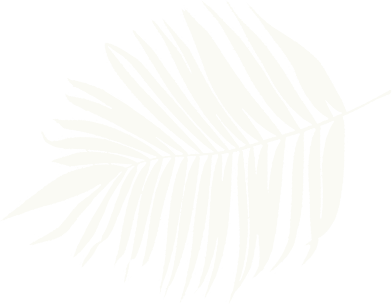 Palma verde crema