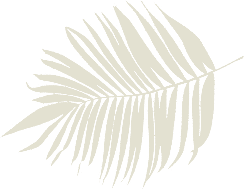 Palma verde